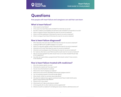 Guide Summary – Questions