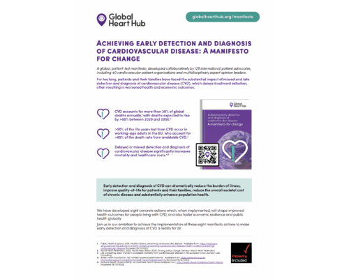 Manifesto Summary - cover image