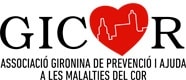 GICOR GICOR