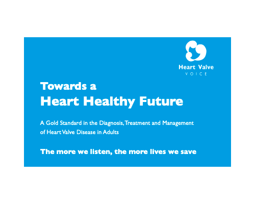 Heart Valve Voice UK: A Gold Standard in the Diagnosis, Treatment and Management of Heart Valve Disease in Adults