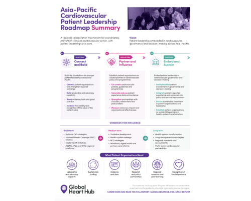 APAC Patient Leadership Roadmap_Summary